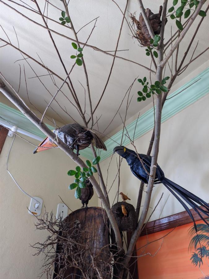 Hotel Pousada Guaypora Guarapari Buitenkant foto